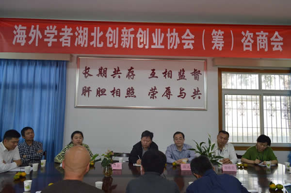 陳義紅出席海外學者湖北創(chuàng)新創(chuàng)業(yè)協(xié)會（籌）咨商會